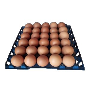 A tray of eggs