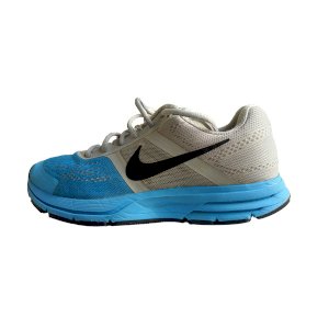 The Nike Pegasus 30 for Men